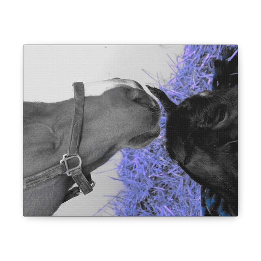 Mare and New Foal Canvas Gallery Wrap